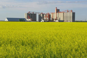 Weyburn Inland Terminal